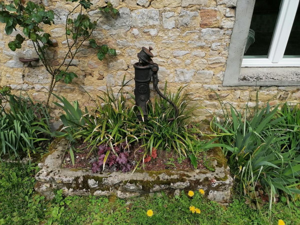 Maison Renovee En Pierres Sejour Spacieux Avec Jardin Et Terrasse Amenagee Pres Omaha Beach & Bayeux A 5Mn De La Mer Tous Commerces Commes Exteriér fotografie
