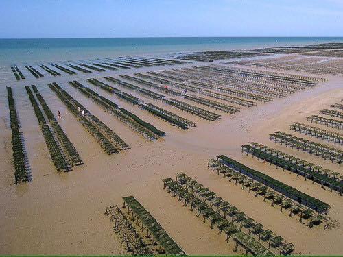 Maison Renovee En Pierres Sejour Spacieux Avec Jardin Et Terrasse Amenagee Pres Omaha Beach & Bayeux A 5Mn De La Mer Tous Commerces Commes Exteriér fotografie