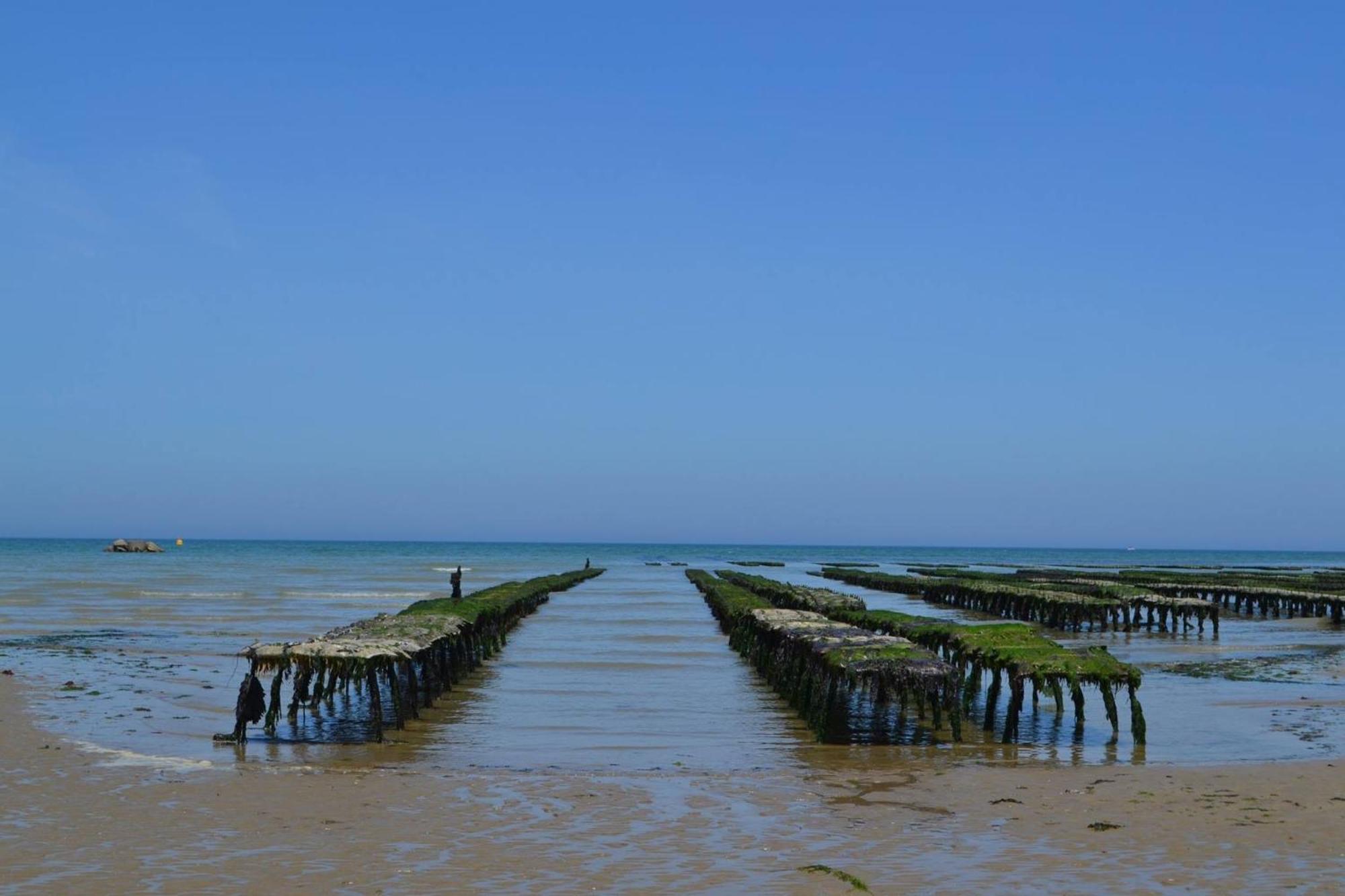 Maison Renovee En Pierres Sejour Spacieux Avec Jardin Et Terrasse Amenagee Pres Omaha Beach & Bayeux A 5Mn De La Mer Tous Commerces Commes Exteriér fotografie